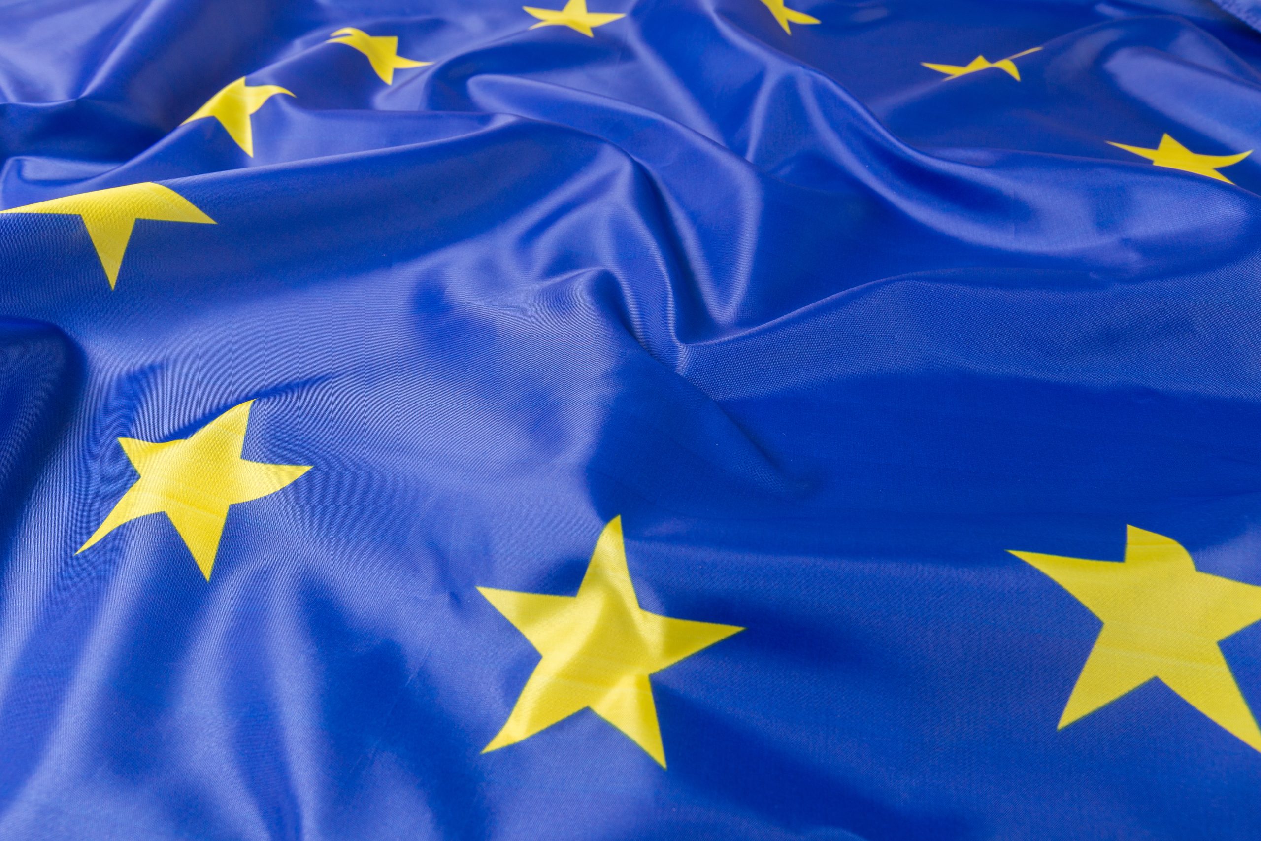 Europos Sąjungos vėliava